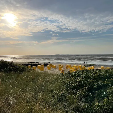 Strandläufer-2